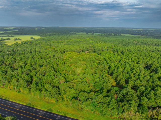 Tract 6 Hwy 155, Frankston, TX 75763