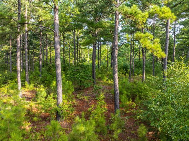 Tract 6 Hwy 155, Frankston, TX 75763