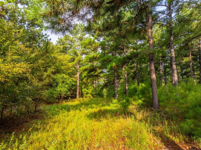 Tract 6 Hwy 155, Frankston, TX 75763