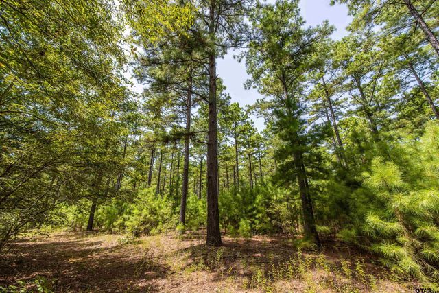 Tract 6 Hwy 155, Frankston, TX 75763