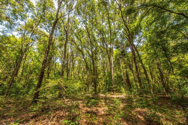 Tract 6 Hwy 155, Frankston, TX 75763