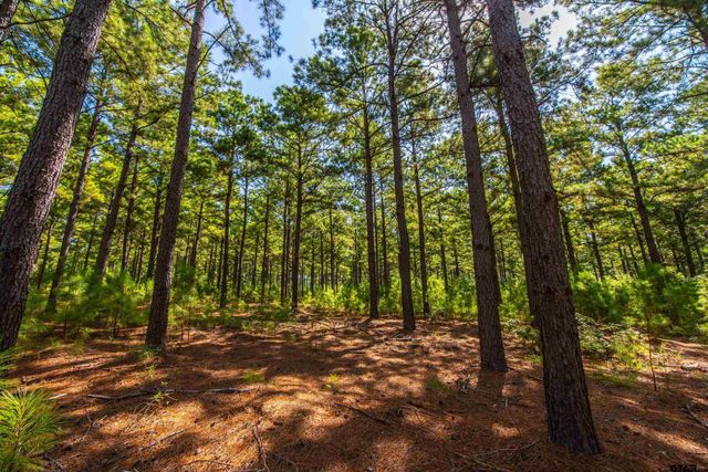 Tract 6 Hwy 155, Frankston, TX 75763