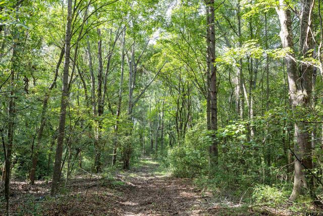 Tract 6 Hwy 155, Frankston, TX 75763