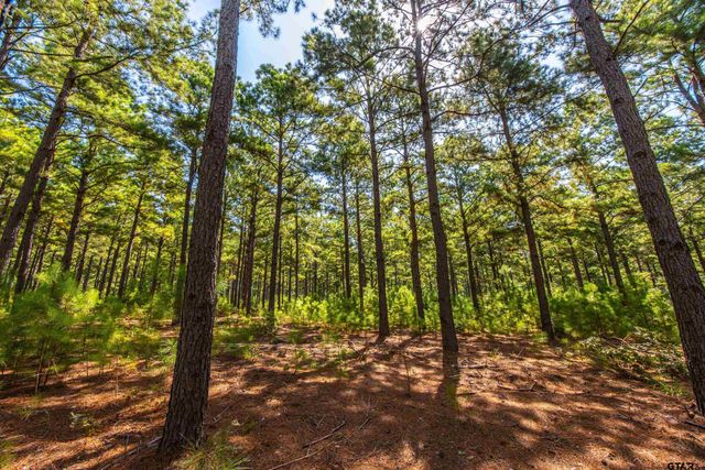 Tract 6 Hwy 155, Frankston, TX 75763