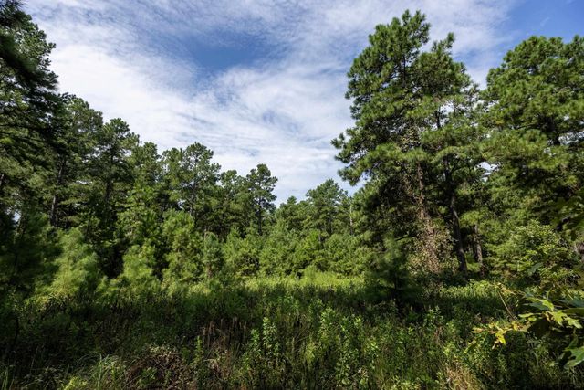 Tract 6 Hwy 155, Frankston, TX 75763