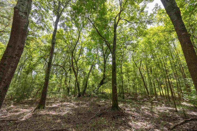 Tract 6 Hwy 155, Frankston, TX 75763