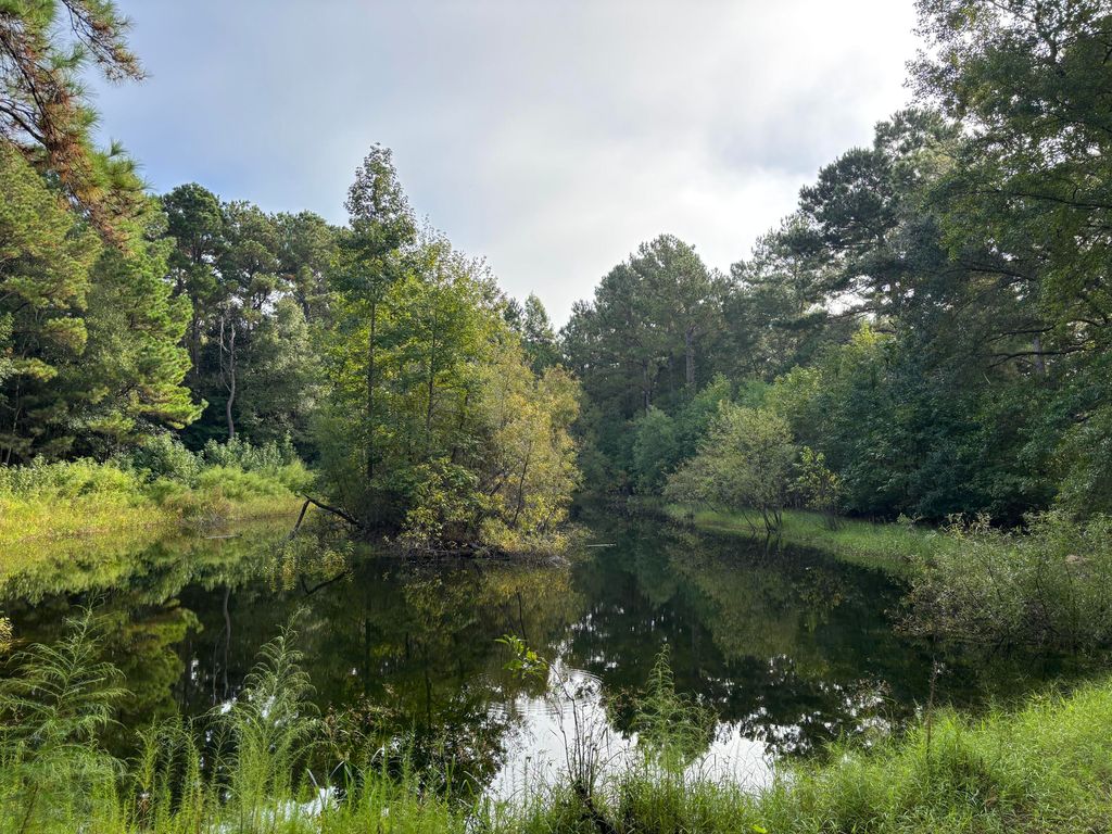 0 Providence Circle, Awendaw, SC 29429