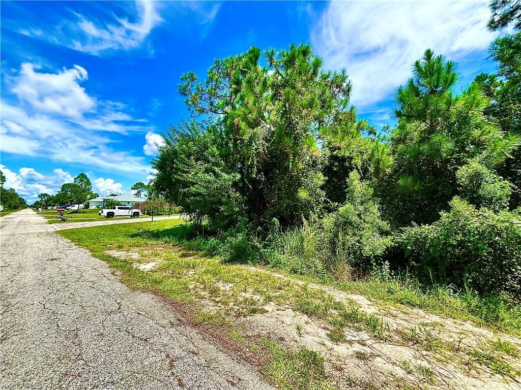 1006 Robert AVE, LEHIGH ACRES, FL 33936 — photo 3