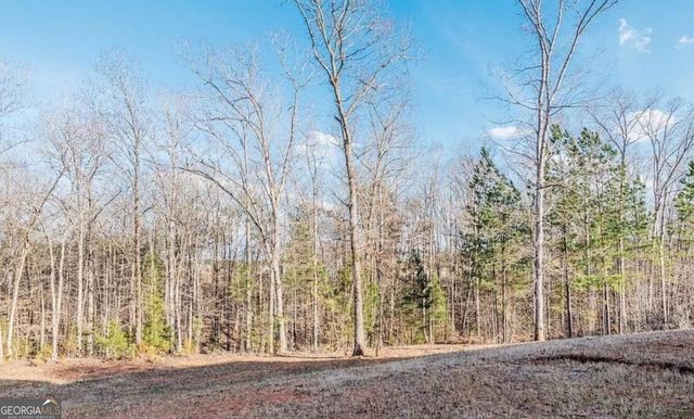 75 Creekside Court, Forsyth, GA 31029