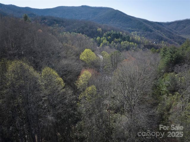 0 Conley Mountain Association Road, Whittier, NC 28789