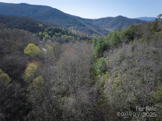0 Conley Mountain Association Road, Whittier, NC 28789