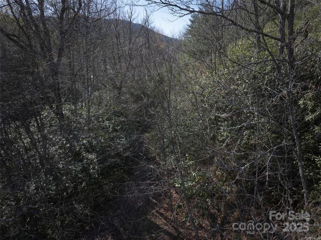 0 Conley Mountain Association Road, Whittier, NC 28789