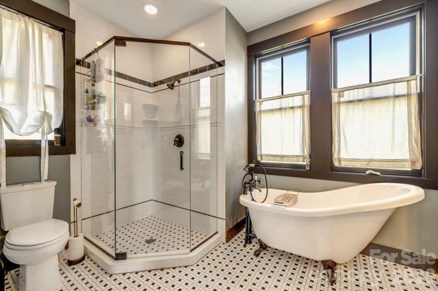 226 Flint Street, Asheville, NC 28801