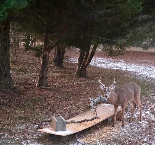 1584 Lexington Carlton Road, Carlton, GA 30627