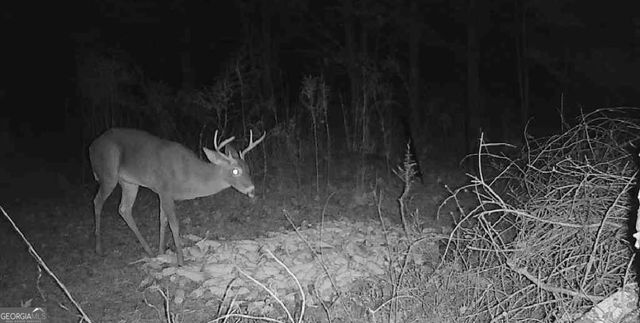 1584 Lexington Carlton Road, Carlton, GA 30627