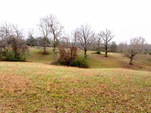 0 Ridgecrest Dr, Dickson, TN 37055