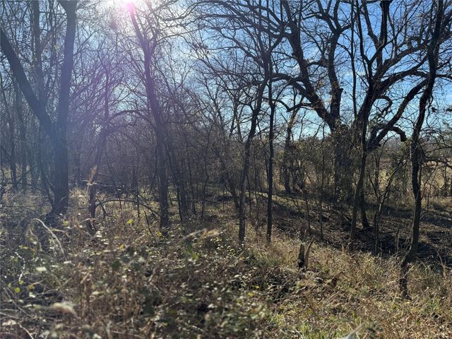 Lot 3 TBD Hidden Valley Road, Valley View, TX 76272