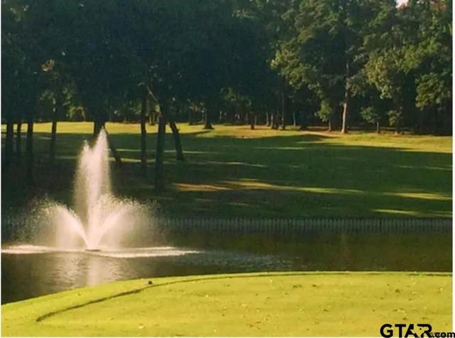 275 Wildwood Trail, Holly Lake Ranch, TX 75765