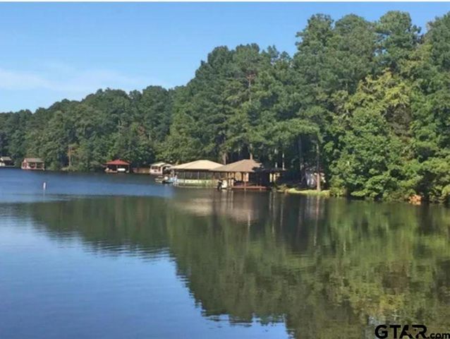 275 Wildwood Trail, Holly Lake Ranch, TX 75765