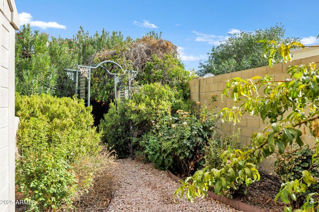 3819 E Ivyglen Street, Mesa, AZ 85205