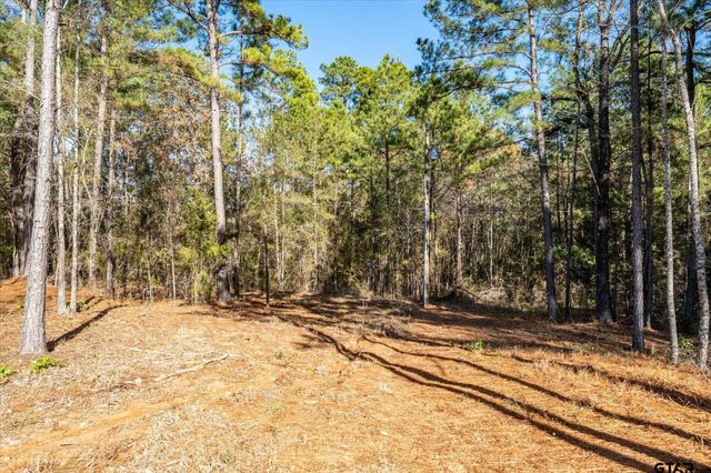 11184 County Road 3420, Brownsboro, TX 75756