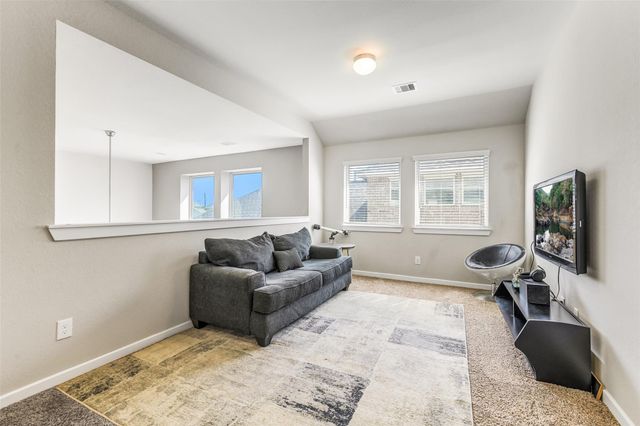 17430 Farm Pasture Trail, Hockley, TX 77447