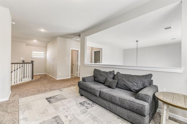 17430 Farm Pasture Trail, Hockley, TX 77447