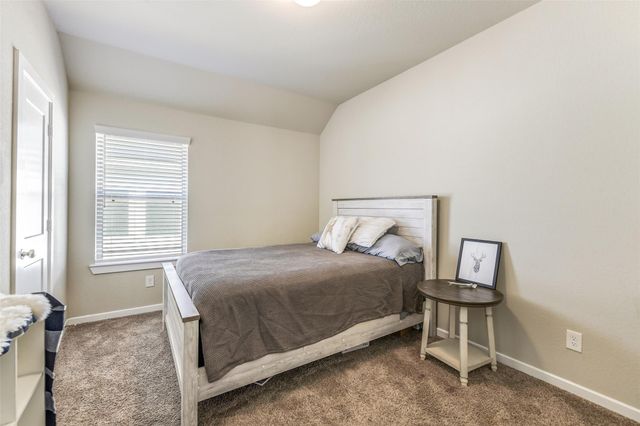 17430 Farm Pasture Trail, Hockley, TX 77447