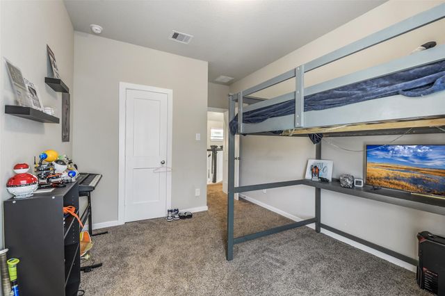 17430 Farm Pasture Trail, Hockley, TX 77447