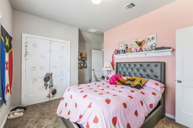 17430 Farm Pasture Trail, Hockley, TX 77447