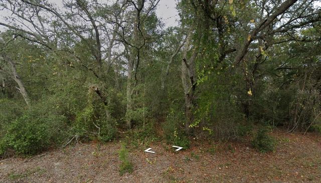 FISHER WAY DR LOT 16, Ocklawaha, FL 32179