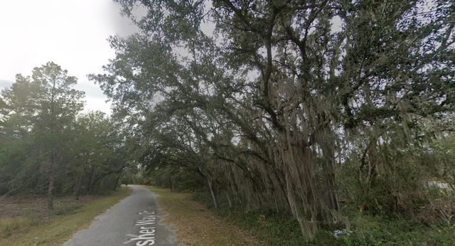 FISHER WAY DR LOT 16, Ocklawaha, FL 32179