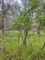 Lot 628 Hilea CT, Bastrop, TX 78602