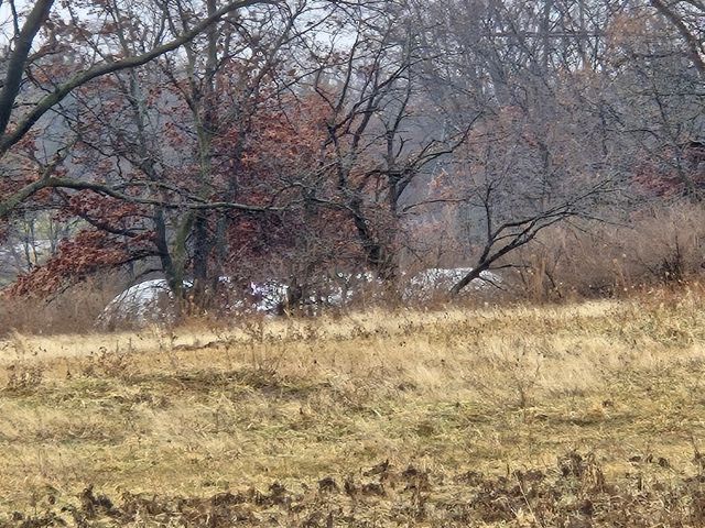 3303 E Exchange Street, Crete, IL 60417