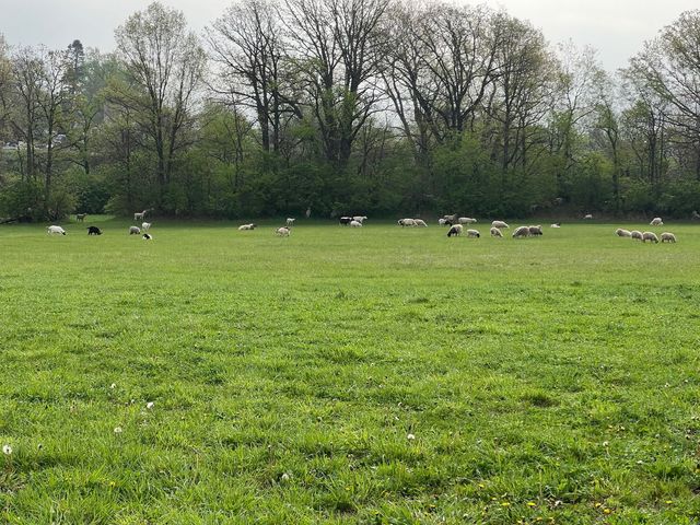 3303 E Exchange Street, Crete, IL 60417