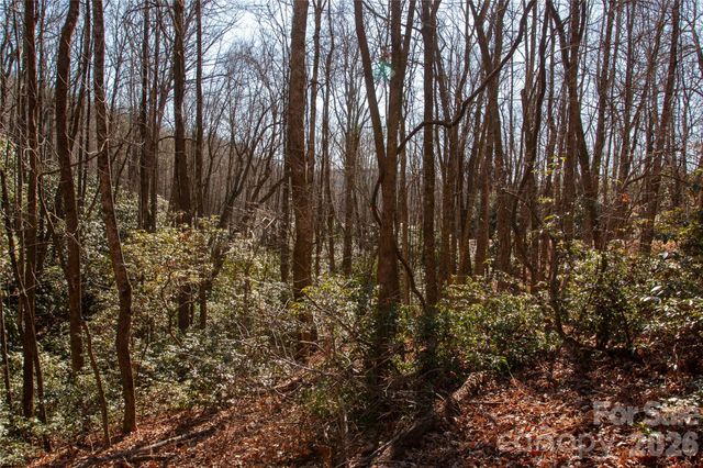 Lot 26 Big Branch Road, Brevard, NC 28712