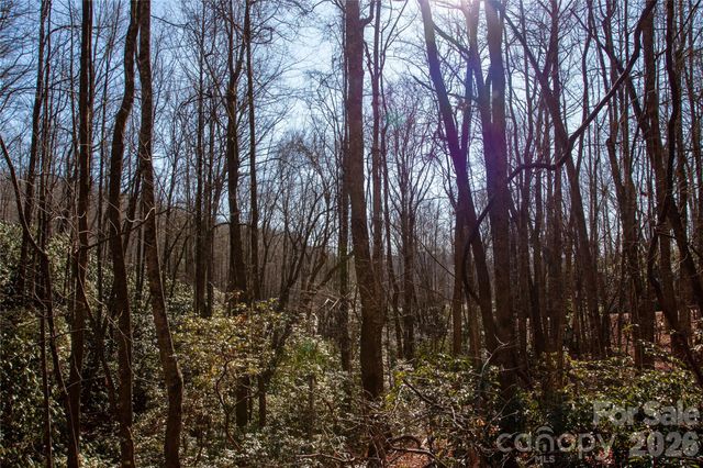 Lot 26 Big Branch Road, Brevard, NC 28712