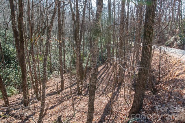 Lot 26 Big Branch Road, Brevard, NC 28712