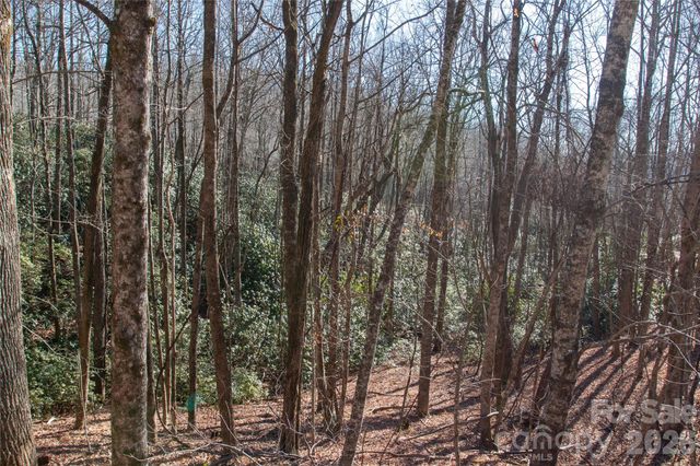 Lot 26 Big Branch Road, Brevard, NC 28712