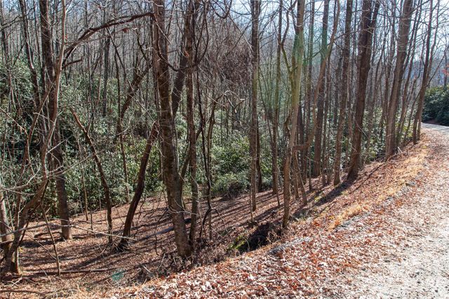 Lot 26 Big Branch Road, Brevard, NC 28712