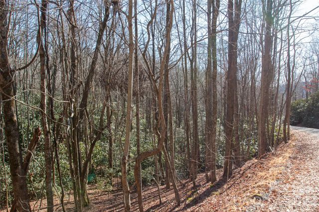 Lot 26 Big Branch Road, Brevard, NC 28712
