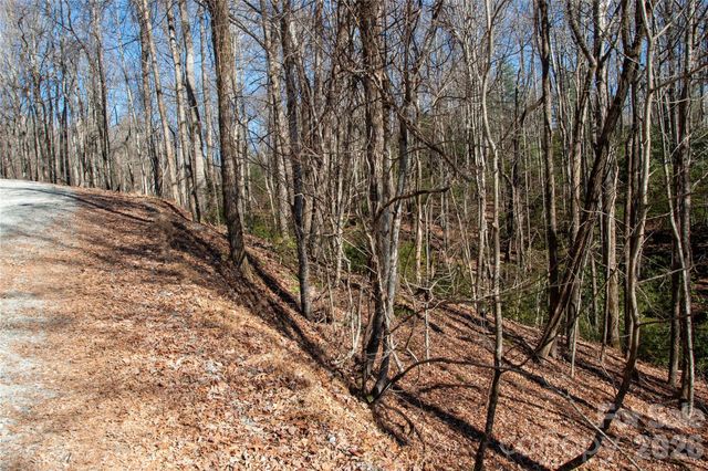 Lot 26 Big Branch Road, Brevard, NC 28712