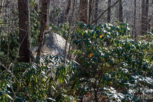 Lot 26 Big Branch Road, Brevard, NC 28712