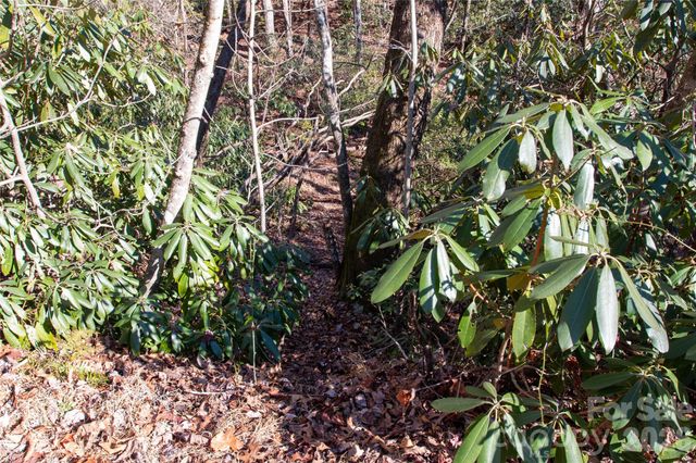 Lot 26 Big Branch Road, Brevard, NC 28712