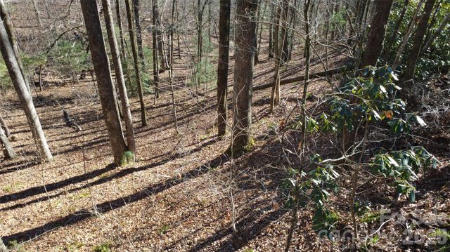 Lot 26 Big Branch Road, Brevard, NC 28712