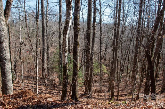 Lot 26 Big Branch Road, Brevard, NC 28712