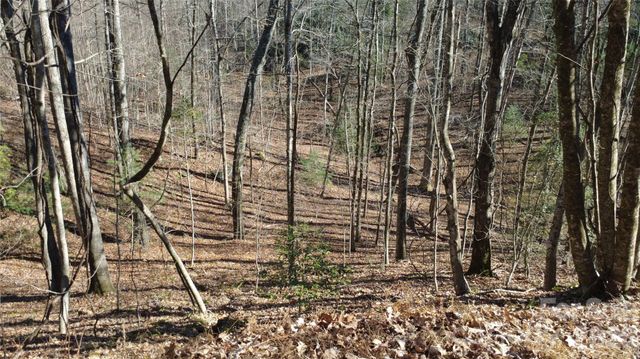 Lot 26 Big Branch Road, Brevard, NC 28712