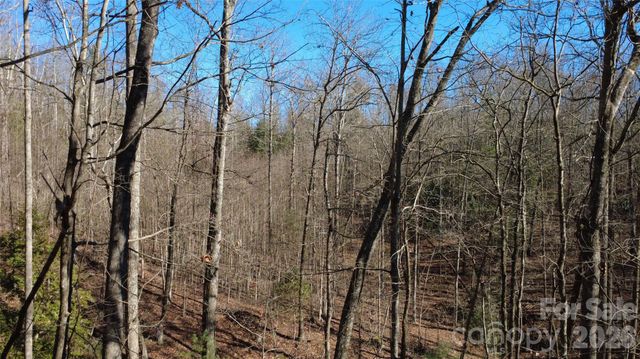 Lot 26 Big Branch Road, Brevard, NC 28712