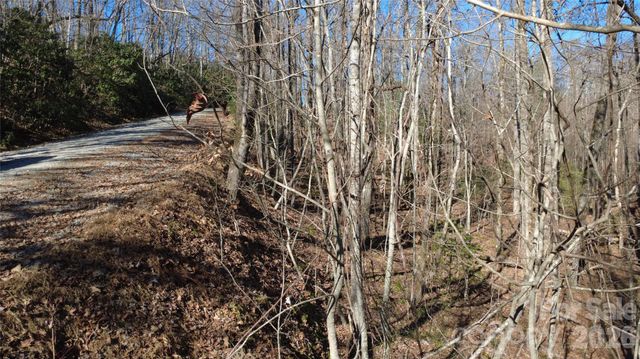 Lot 26 Big Branch Road, Brevard, NC 28712