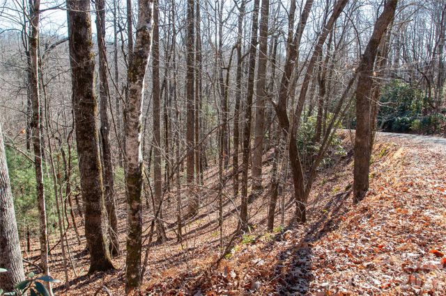Lot 26 Big Branch Road, Brevard, NC 28712